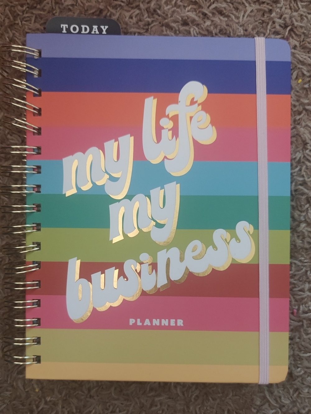 Tabitha Brown Striped "My Life My Business" Planner - Multicolor